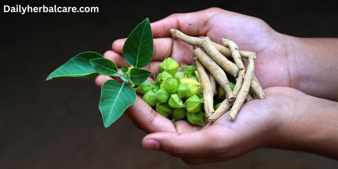 Ashwagandha Ke Fayde in Hindi