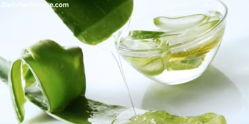 How to Use Aloe Vera for Skin Whitening Fast